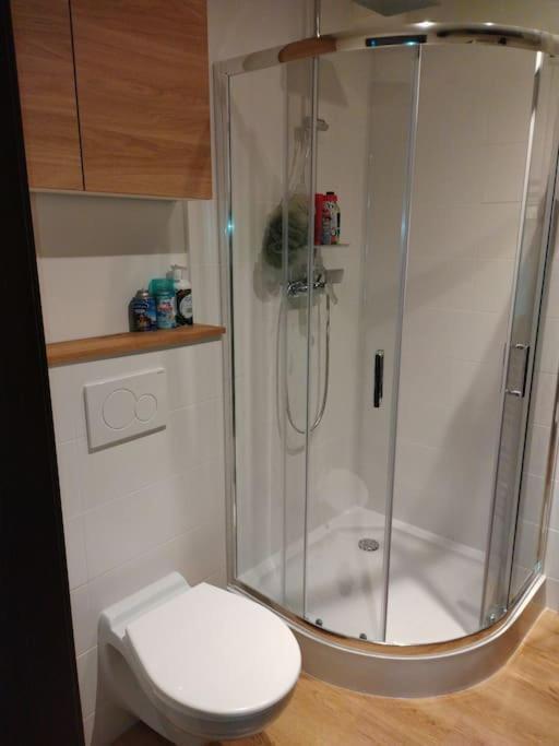Apartament Love Home *